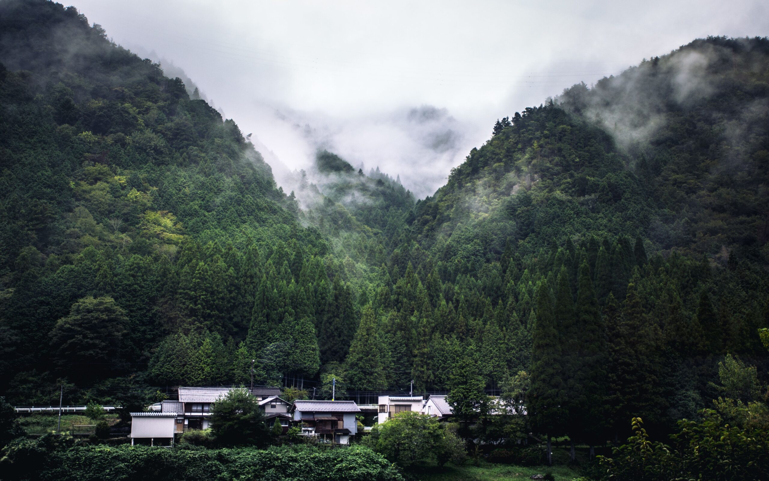 A Blogging Diary of My Family's Next Adventure A serene village nestled in lush, misty mountains of Japan.